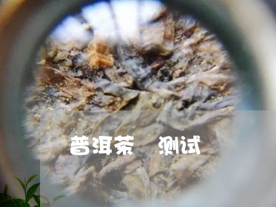 普洱茶 测试/2023042868681